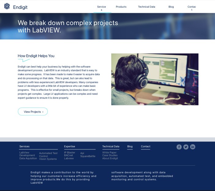 Endigit website services page design, 2017