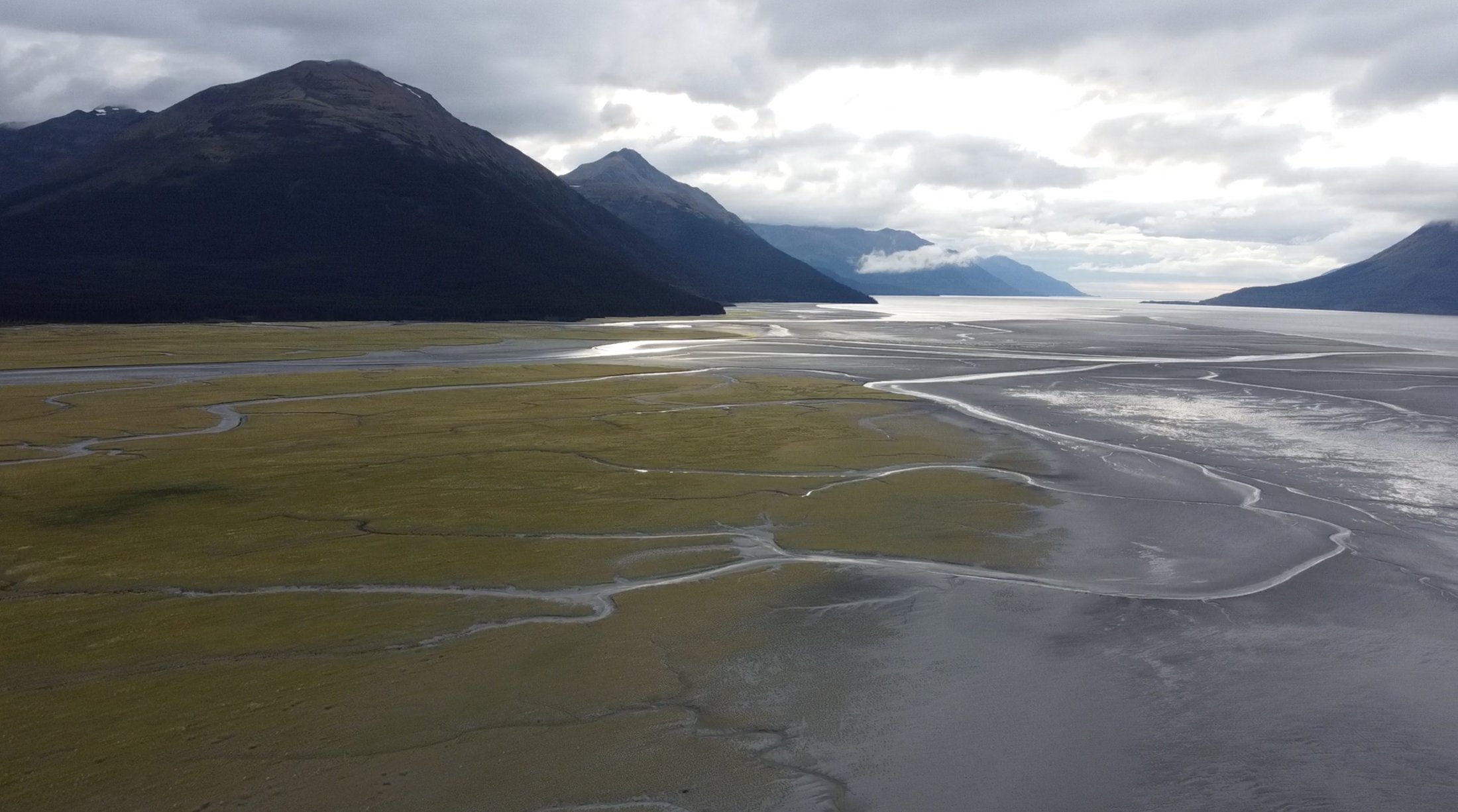 Aerial view of a braided river valley, Alaska