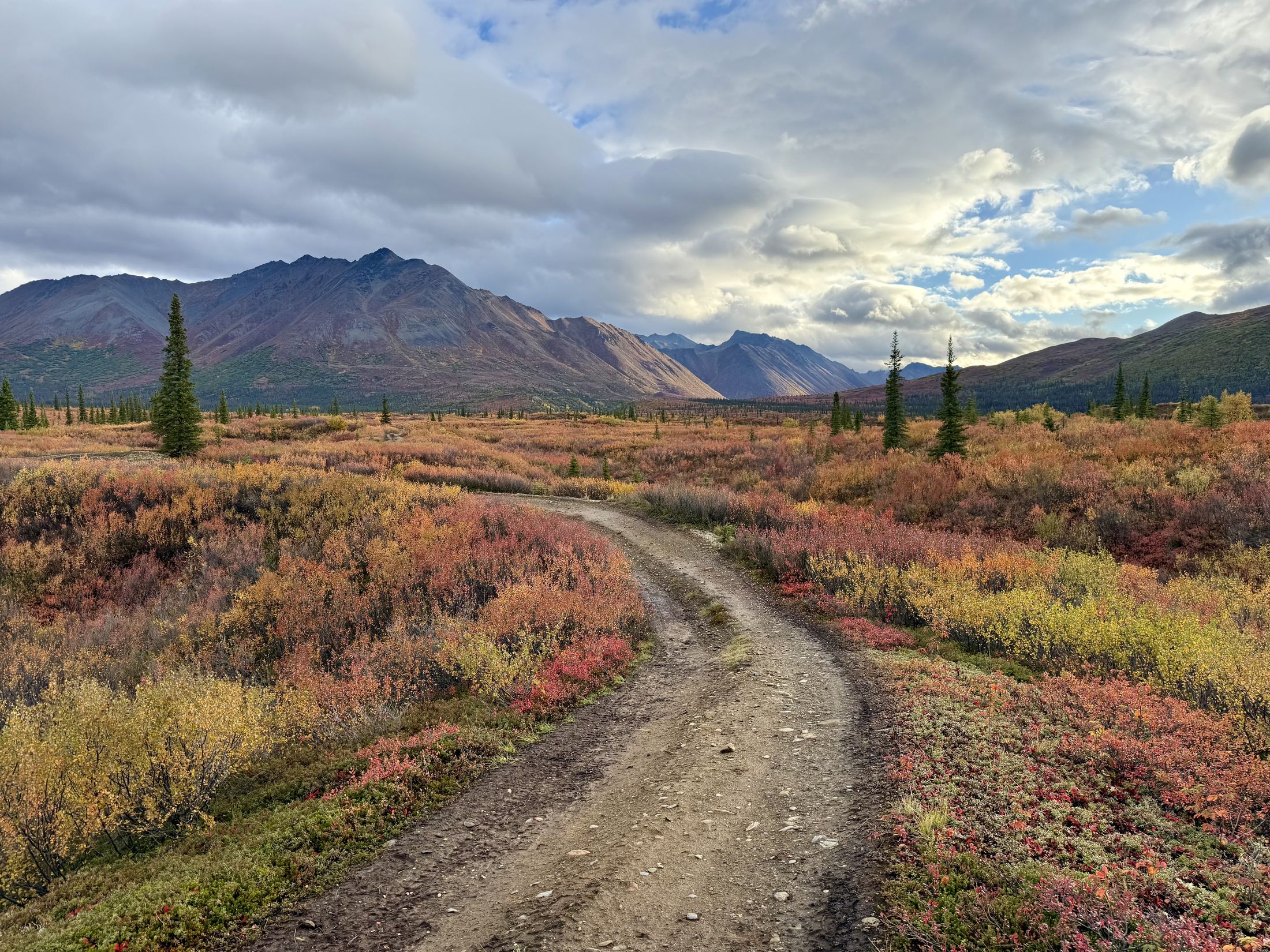 Dirt road through autumn tundra foliage, Alaska
