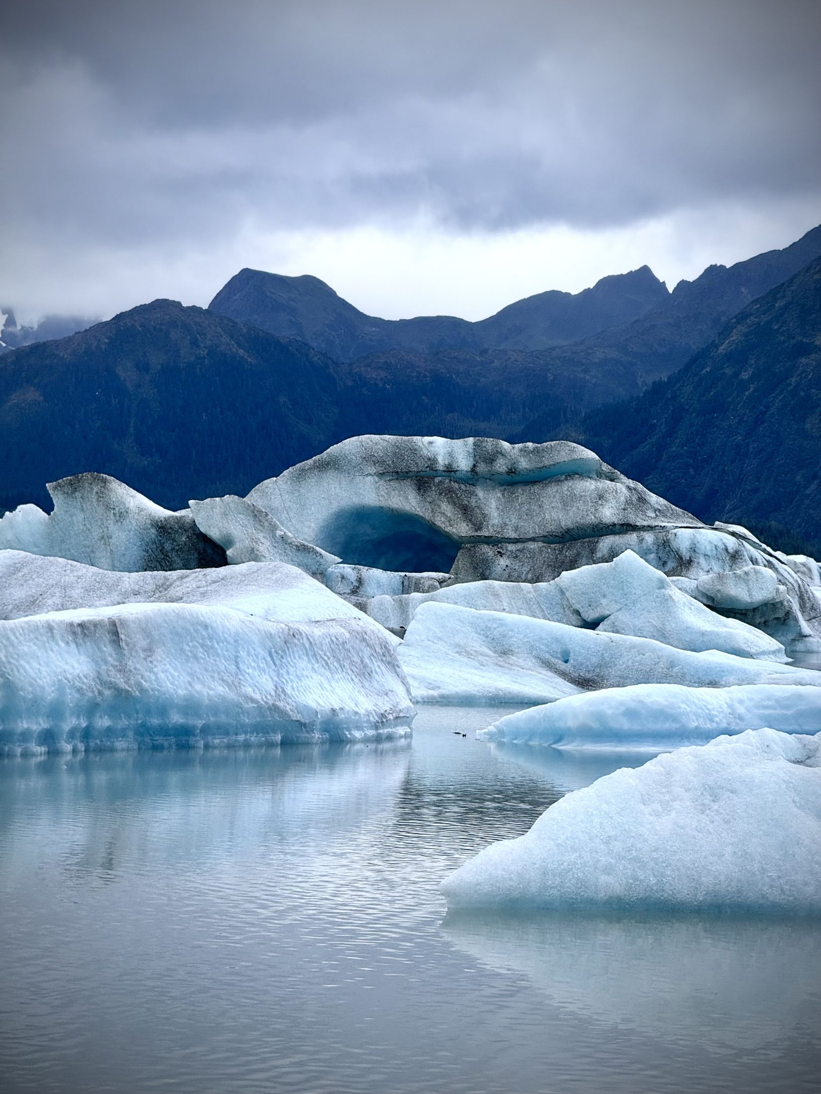 Icebergs in a glacial lake beneath mountains, Alaska
