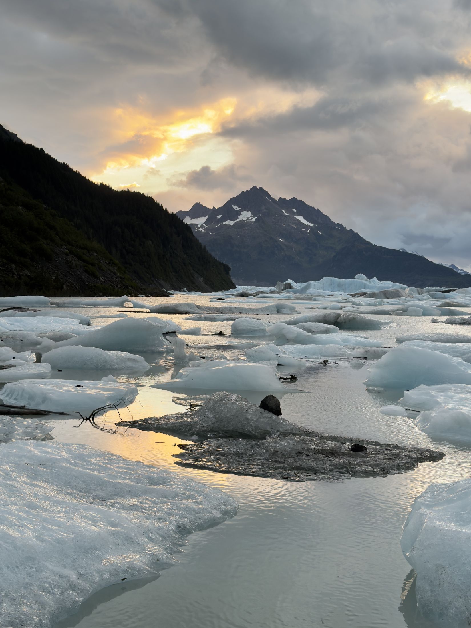 Icebergs on a glacial lake at dusk, Alaska