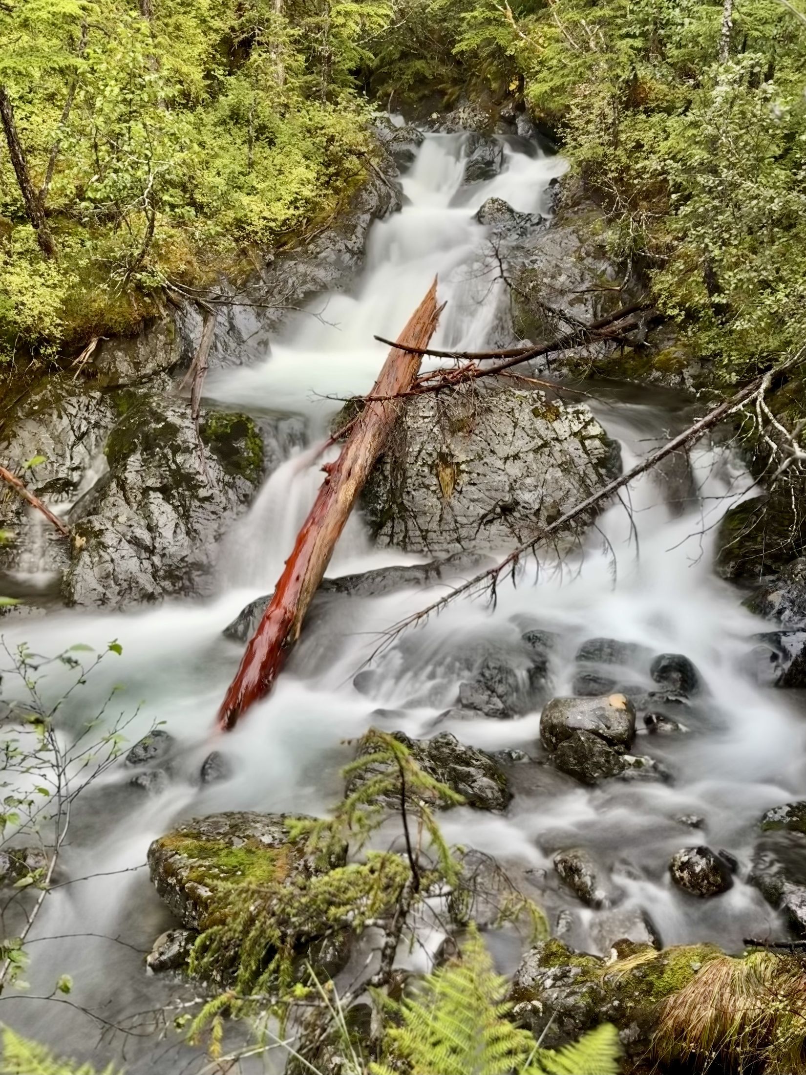 Waterfall cascading through the forest, Alaska