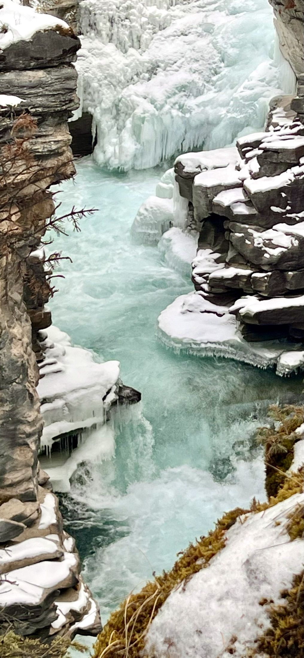A frozen turquoise canyon waterfall, Banff