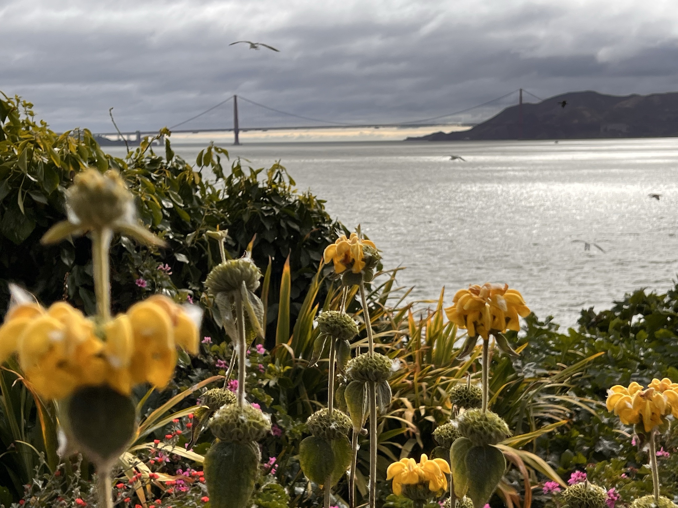 A camera on a tripod facing the Golden Gate Bridge from the beach