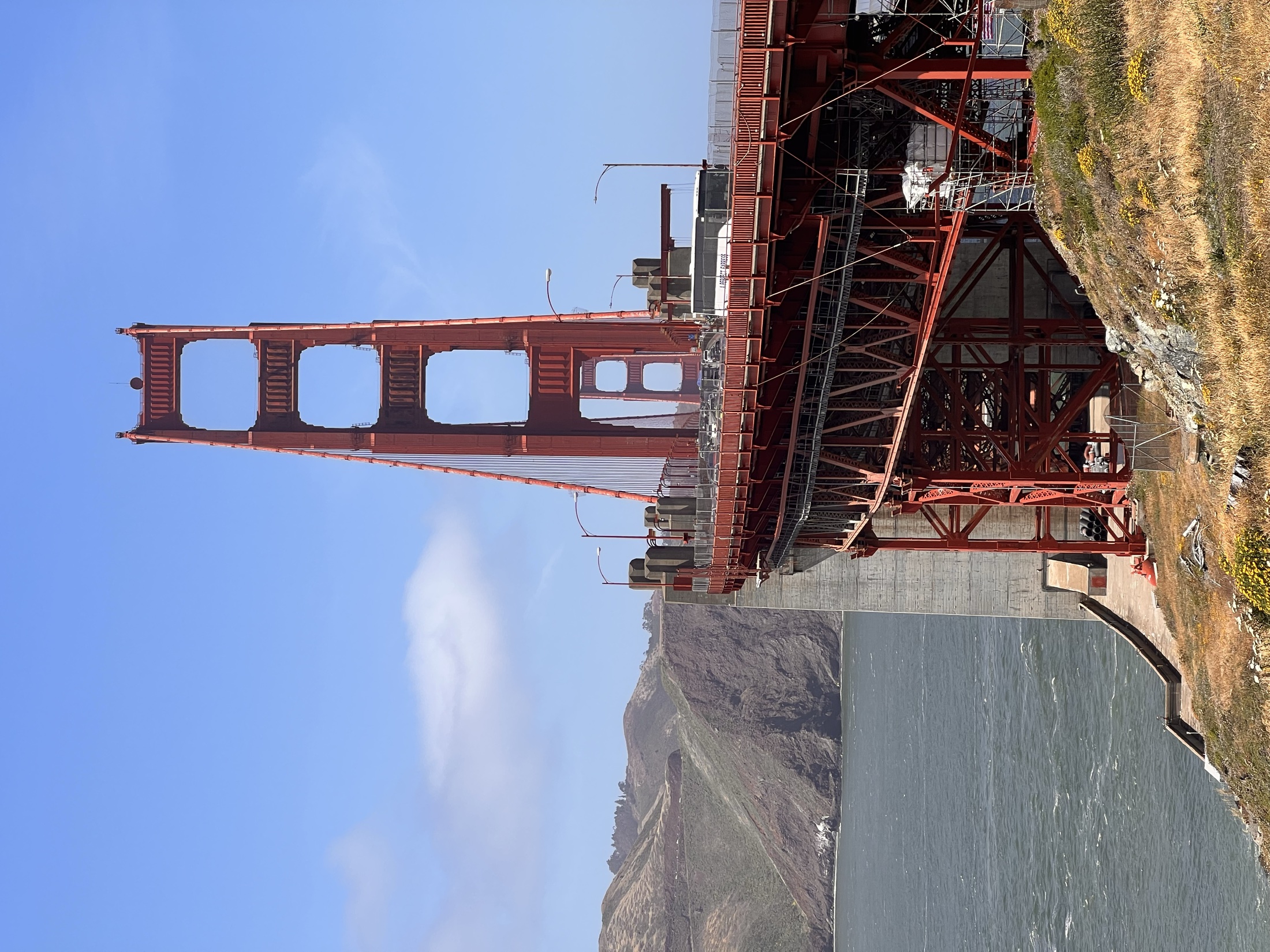 Wildflowers overlooking the Golden Gate Bridge and bay