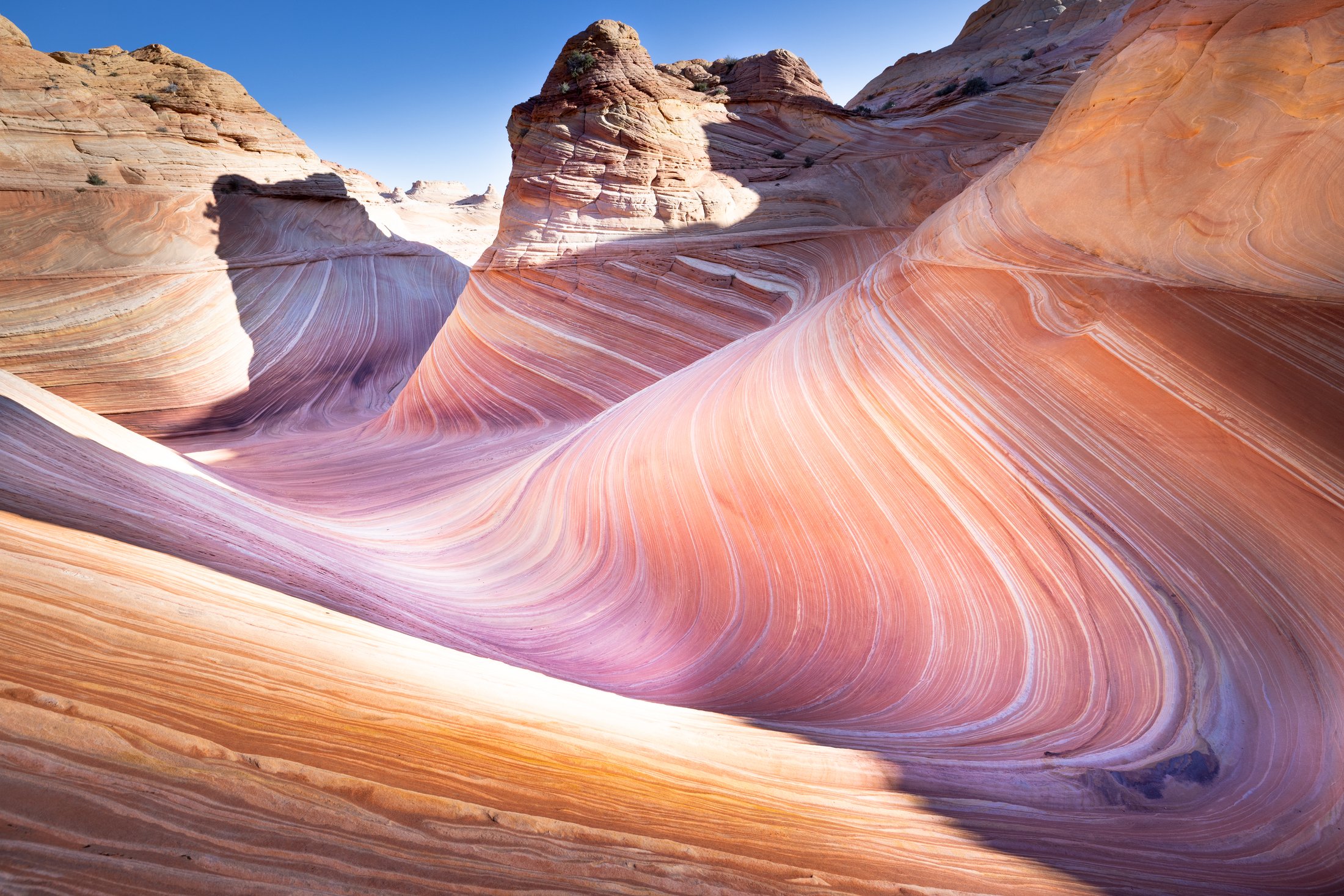 The Wave's striated sandstone waves, Arizona