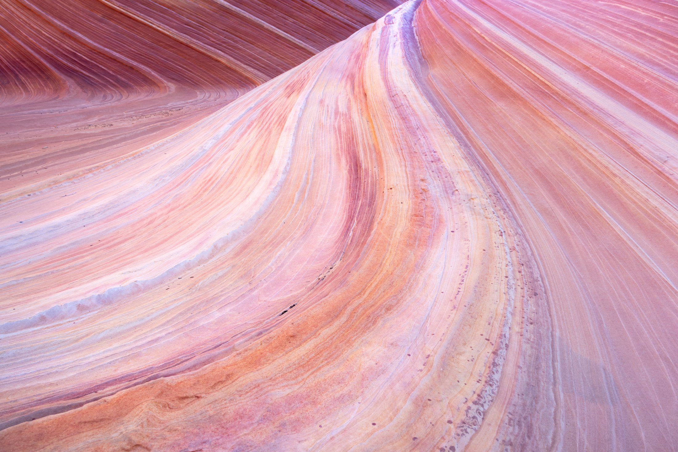 The Wave's striated sandstone waves, Arizona
