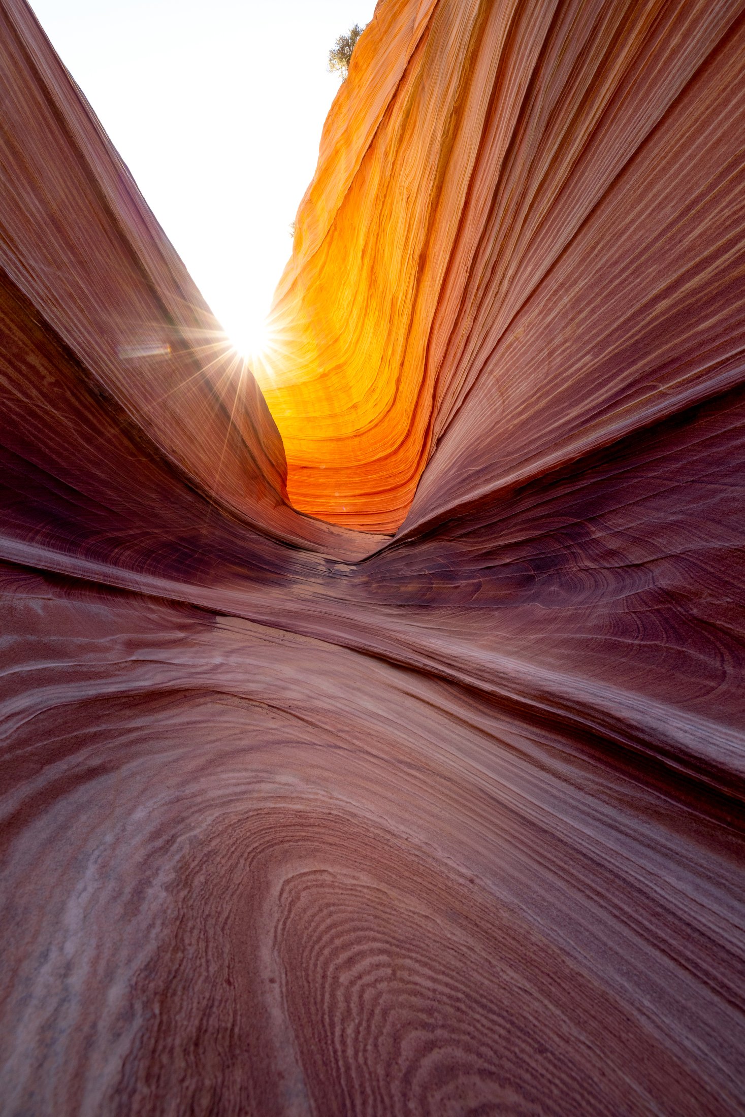 The Wave sandstone rock formation, Arizona