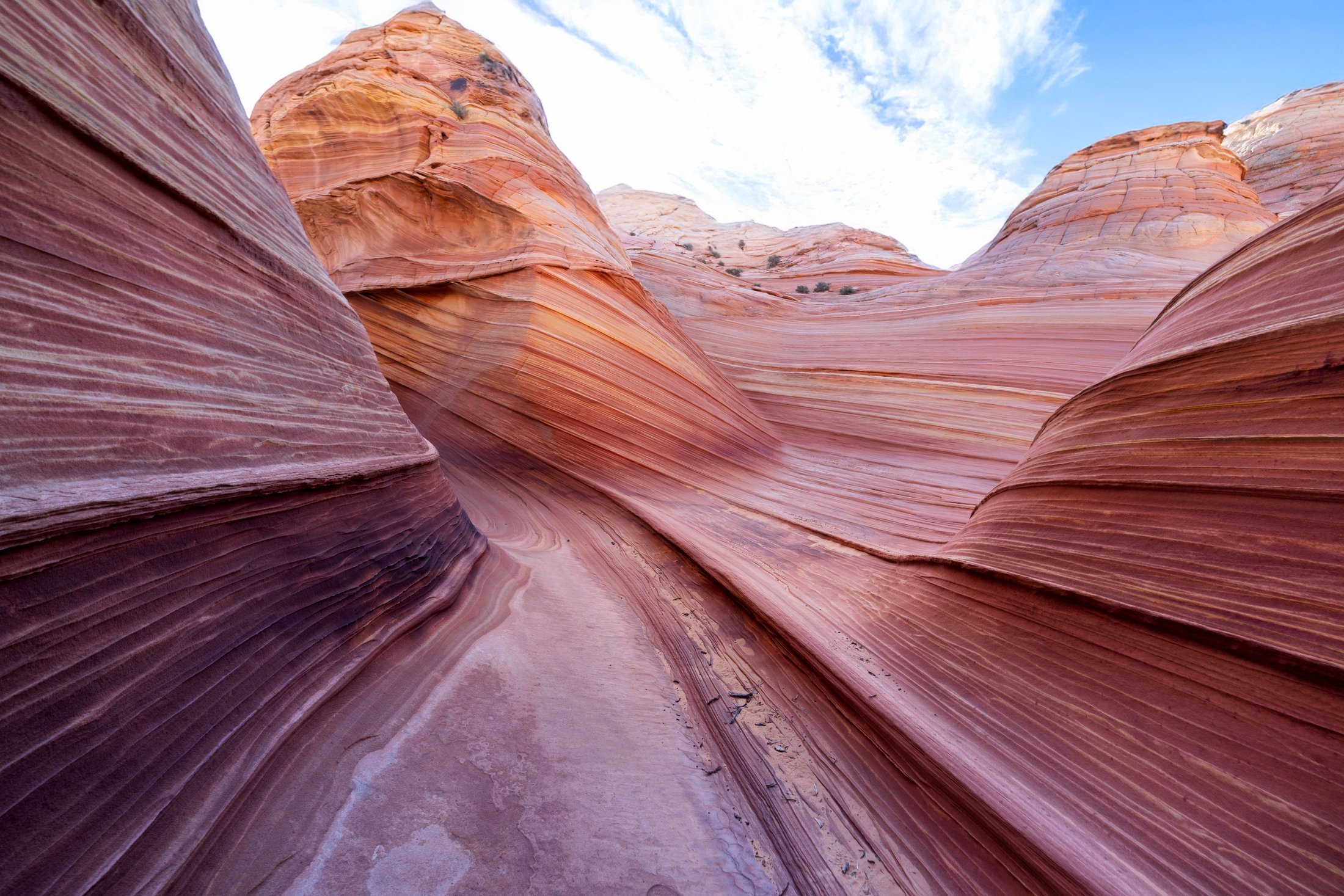 The Wave sandstone rock formation, Arizona