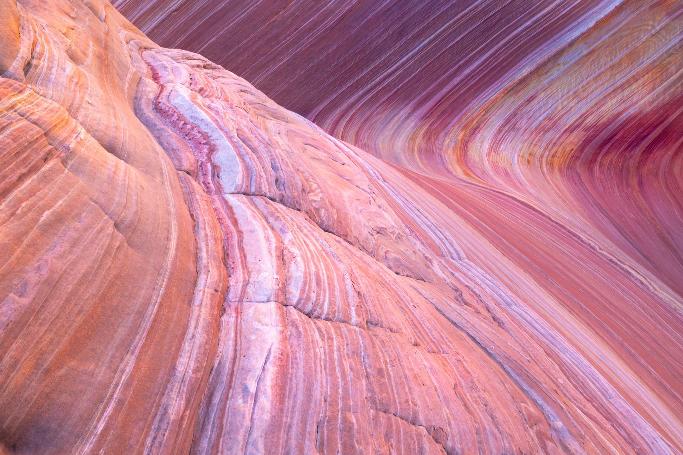Striated sandstone detail at The Wave, Arizona