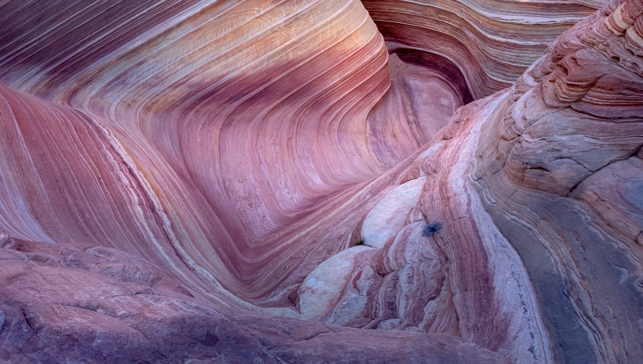 Striated sandstone detail at The Wave, Arizona
