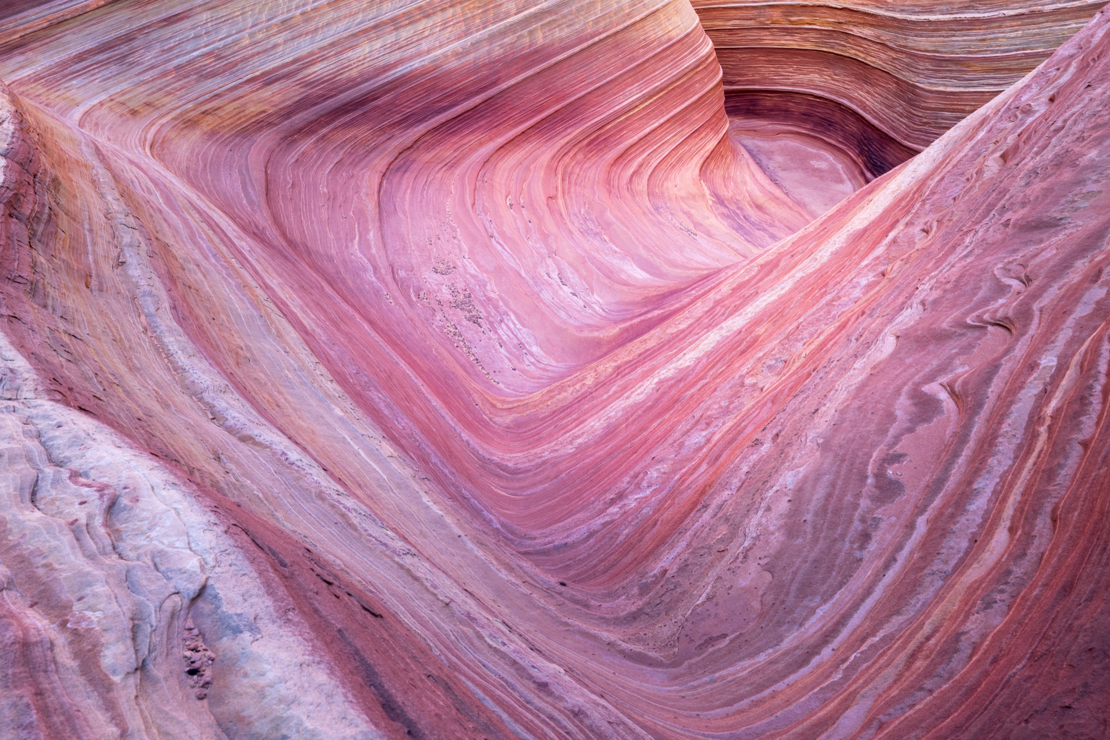 Striated sandstone detail at The Wave, Arizona
