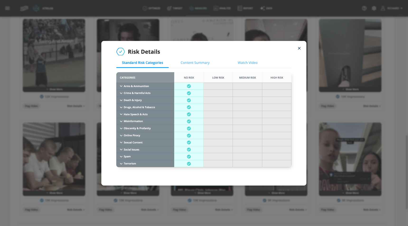 Zefr Risk Details modal showing standard risk category scoring for a piece of content